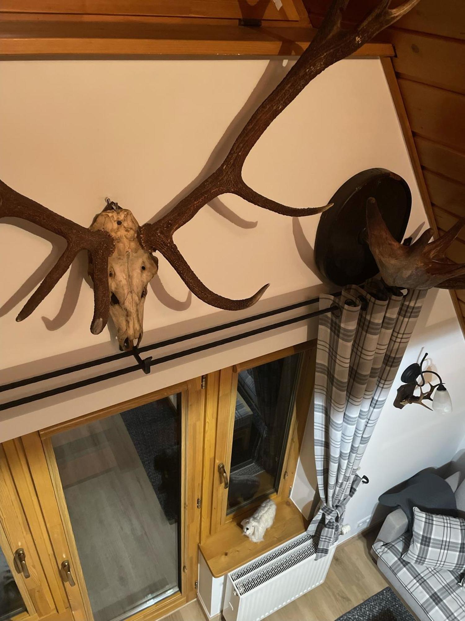 Willa Na Borach Zakopane Exteriör bild