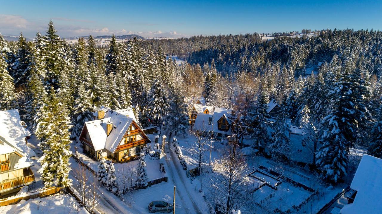 Willa Na Borach Zakopane Exteriör bild